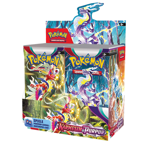 Crimson and Purple 36-piece display